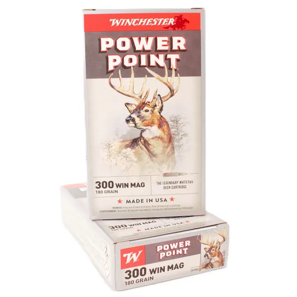 300wm-pp-600x600.webp