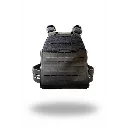 550007_34265532e26d474a8fd06702b66eafde~mv2.webp