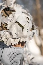DVR_0344.jpg.webp