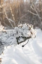 DVR_0378.jpg.webp