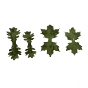 222_1.webp