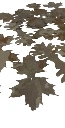 2dd.jpg.webp