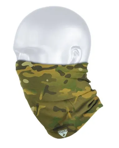 tdsjtjty.webp