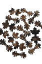 Feuilles Brown Forest x50 Lapa Gear
