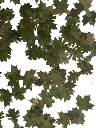 Artificial leaves  Green Field (V6) x50 Lapa Gear