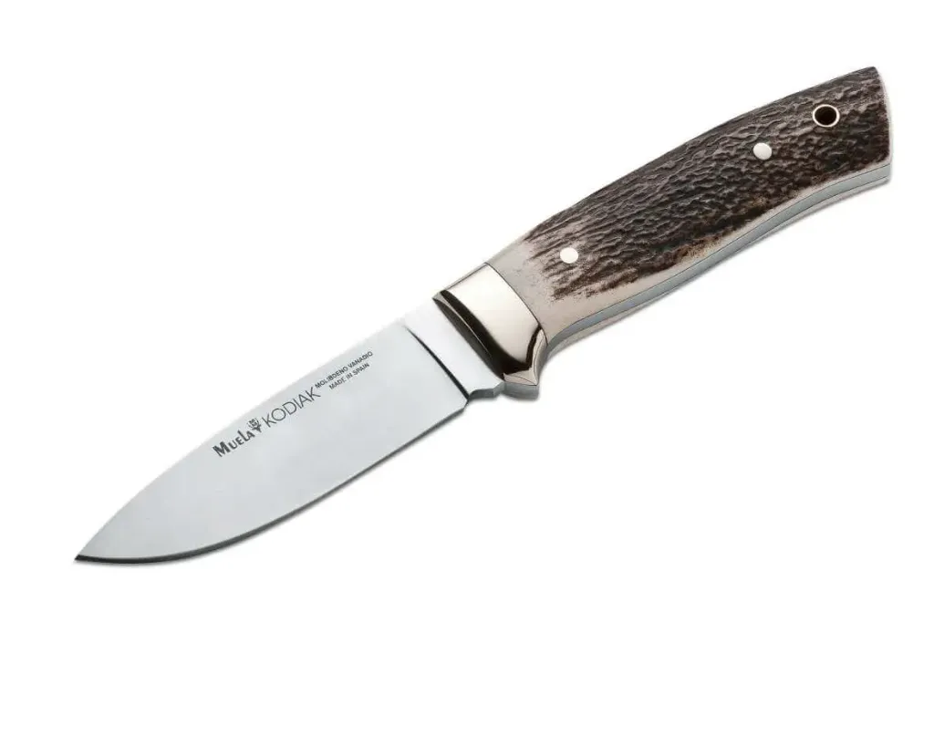 Kodiak Stag - Muela