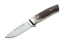Kodiak Stag - Muela